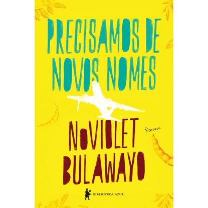 PRECISAMOS DE NOVOS NOMES
