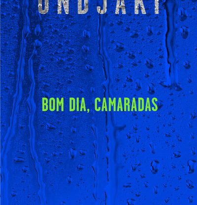 BOM DIA CAMARADAS