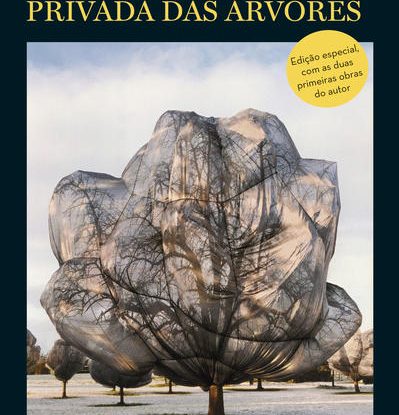 BONSAI & A VIDA PRIVADA DAS ÁRVORES