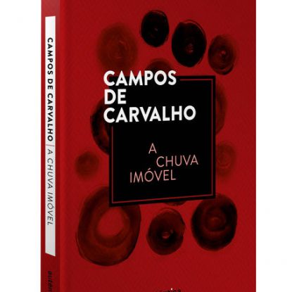 A CHUVA IMÓVEL
