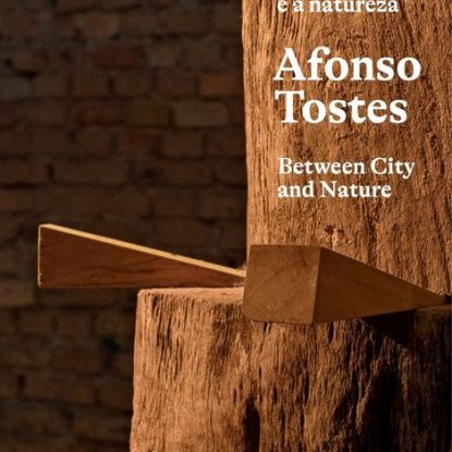 AFONSO TOSTES - ENTRE A CIDADE E A NATUREZA