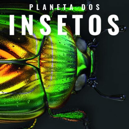 PLANETA DOS INSETOS