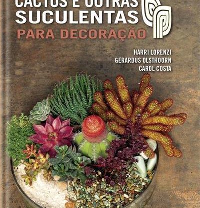 CACTOS E OUTRAS SUCULENTAS PARA DECORAÇÃO
