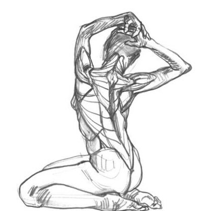 ANATOMIA ARTÍSTICA