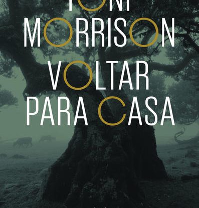 VOLTAR PARA CASA
