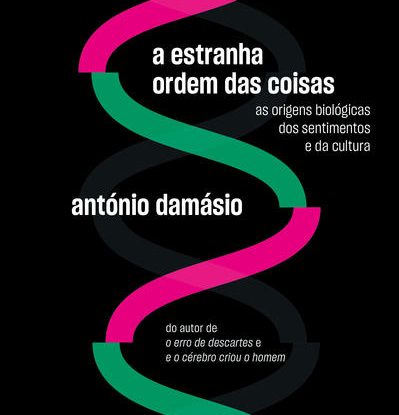 A ESTRANHA ORDEM DAS COISAS