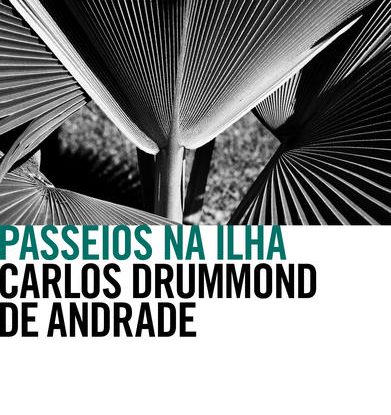 PASSEIOS NA ILHA