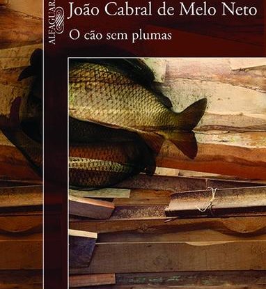 O CÃO SEM PLUMAS