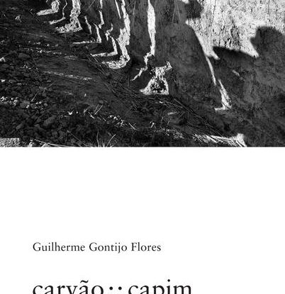 CARVÃO : : CAPIM
