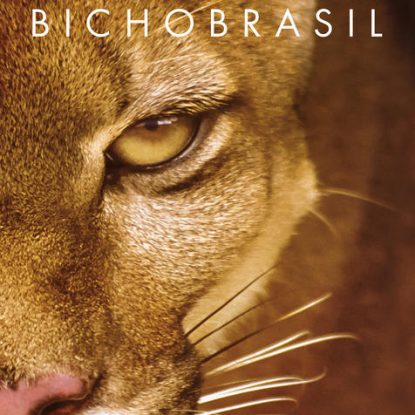 BICHO BRASIL