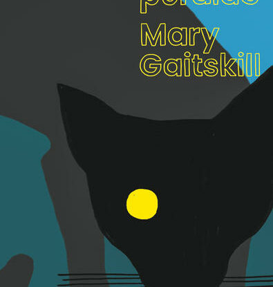 O gato perdido
