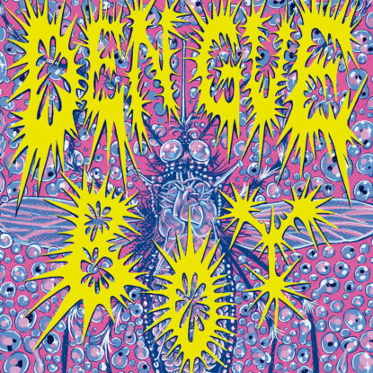 Dengue boy