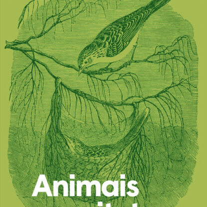 Animais arquitetos
