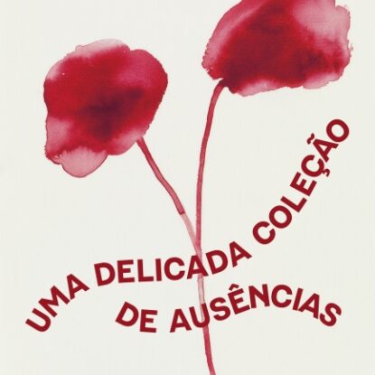 Uma delicada coleção de ausências