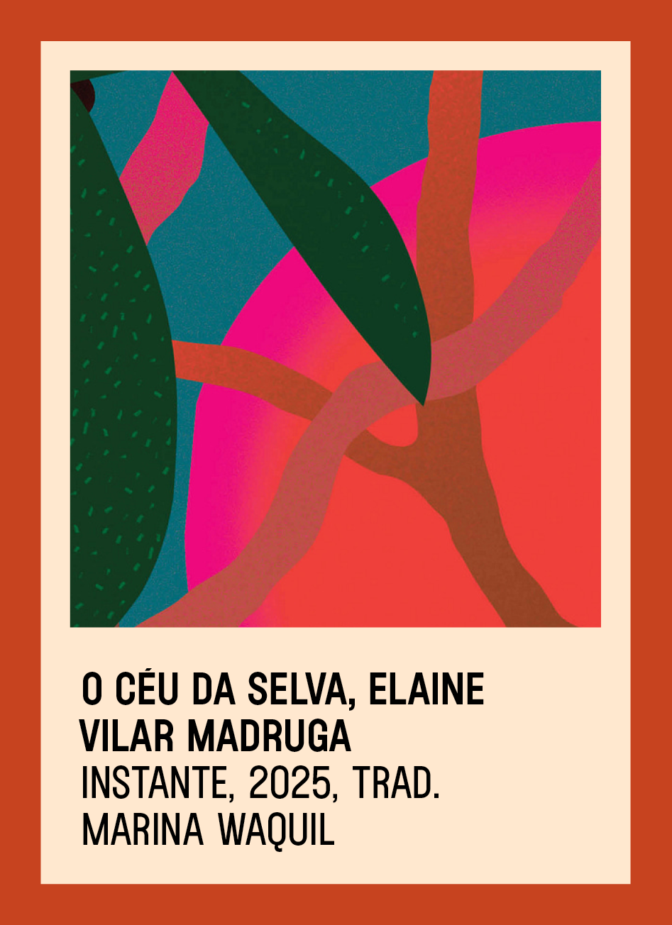 3x4_VERAO_37